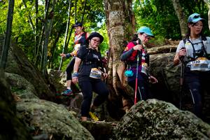 BIB: 
                            <button type="button" onclick="openModal(13543387)" class="btn btn-primary btn-sm float-right btn-popup" data-toggle="modal" data-target=".modal-high-quality">
                        <i class="fas fa-shopping-cart"></i> Add to Cart
                    </button>
                                            <button type="button" onclick="isThisMe(13543387, true)" class="btn btn-success btn-sm float-right btn-popup btn-isme hidden" data-toggle="tooltip" data-placement="bottom" title="นี่คือรูปของคุณใช่ไหม คลิกที่นี่เพื่อเอาเข้าอัลบั้ม">
                        <i class="fas fa-plus"></i> Add to album
                    </button>
                    <button type="button" onclick="isThisMe(13543387, false)" class="btn btn-warning btn-sm float-right btn-popup btn-isnotme hidden">
                        <i class="fas fa-ban"></i> Remove from album
                    </button>