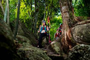 BIB: 
                            <button type="button" onclick="openModal(13543517)" class="btn btn-primary btn-sm float-right btn-popup" data-toggle="modal" data-target=".modal-high-quality">
                        <i class="fas fa-shopping-cart"></i> Add to Cart
                    </button>
                                            <button type="button" onclick="isThisMe(13543517, true)" class="btn btn-success btn-sm float-right btn-popup btn-isme hidden" data-toggle="tooltip" data-placement="bottom" title="นี่คือรูปของคุณใช่ไหม คลิกที่นี่เพื่อเอาเข้าอัลบั้ม">
                        <i class="fas fa-plus"></i> Add to album
                    </button>
                    <button type="button" onclick="isThisMe(13543517, false)" class="btn btn-warning btn-sm float-right btn-popup btn-isnotme hidden">
                        <i class="fas fa-ban"></i> Remove from album
                    </button>