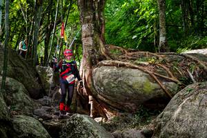 BIB: 
                            <button type="button" onclick="openModal(13543413)" class="btn btn-primary btn-sm float-right btn-popup" data-toggle="modal" data-target=".modal-high-quality">
                        <i class="fas fa-shopping-cart"></i> Add to Cart
                    </button>
                                            <button type="button" onclick="isThisMe(13543413, true)" class="btn btn-success btn-sm float-right btn-popup btn-isme hidden" data-toggle="tooltip" data-placement="bottom" title="นี่คือรูปของคุณใช่ไหม คลิกที่นี่เพื่อเอาเข้าอัลบั้ม">
                        <i class="fas fa-plus"></i> Add to album
                    </button>
                    <button type="button" onclick="isThisMe(13543413, false)" class="btn btn-warning btn-sm float-right btn-popup btn-isnotme hidden">
                        <i class="fas fa-ban"></i> Remove from album
                    </button>