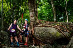 BIB: , 
                            <button type="button" onclick="openModal(13543555)" class="btn btn-primary btn-sm float-right btn-popup" data-toggle="modal" data-target=".modal-high-quality">
                        <i class="fas fa-shopping-cart"></i> Add to Cart
                    </button>
                                            <button type="button" onclick="isThisMe(13543555, true)" class="btn btn-success btn-sm float-right btn-popup btn-isme hidden" data-toggle="tooltip" data-placement="bottom" title="นี่คือรูปของคุณใช่ไหม คลิกที่นี่เพื่อเอาเข้าอัลบั้ม">
                        <i class="fas fa-plus"></i> Add to album
                    </button>
                    <button type="button" onclick="isThisMe(13543555, false)" class="btn btn-warning btn-sm float-right btn-popup btn-isnotme hidden">
                        <i class="fas fa-ban"></i> Remove from album
                    </button>