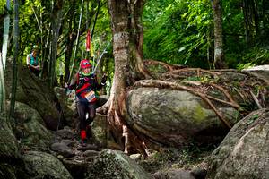 BIB: 
                            <button type="button" onclick="openModal(13543412)" class="btn btn-primary btn-sm float-right btn-popup" data-toggle="modal" data-target=".modal-high-quality">
                        <i class="fas fa-shopping-cart"></i> Add to Cart
                    </button>
                                            <button type="button" onclick="isThisMe(13543412, true)" class="btn btn-success btn-sm float-right btn-popup btn-isme hidden" data-toggle="tooltip" data-placement="bottom" title="นี่คือรูปของคุณใช่ไหม คลิกที่นี่เพื่อเอาเข้าอัลบั้ม">
                        <i class="fas fa-plus"></i> Add to album
                    </button>
                    <button type="button" onclick="isThisMe(13543412, false)" class="btn btn-warning btn-sm float-right btn-popup btn-isnotme hidden">
                        <i class="fas fa-ban"></i> Remove from album
                    </button>