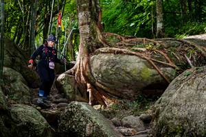 BIB: 
                            <button type="button" onclick="openModal(13543403)" class="btn btn-primary btn-sm float-right btn-popup" data-toggle="modal" data-target=".modal-high-quality">
                        <i class="fas fa-shopping-cart"></i> Add to Cart
                    </button>
                                            <button type="button" onclick="isThisMe(13543403, true)" class="btn btn-success btn-sm float-right btn-popup btn-isme hidden" data-toggle="tooltip" data-placement="bottom" title="นี่คือรูปของคุณใช่ไหม คลิกที่นี่เพื่อเอาเข้าอัลบั้ม">
                        <i class="fas fa-plus"></i> Add to album
                    </button>
                    <button type="button" onclick="isThisMe(13543403, false)" class="btn btn-warning btn-sm float-right btn-popup btn-isnotme hidden">
                        <i class="fas fa-ban"></i> Remove from album
                    </button>