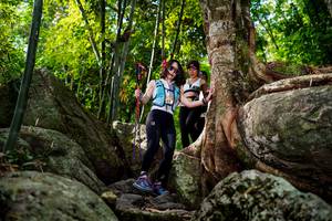 BIB: 
                            <button type="button" onclick="openModal(13543315)" class="btn btn-primary btn-sm float-right btn-popup" data-toggle="modal" data-target=".modal-high-quality">
                        <i class="fas fa-shopping-cart"></i> Add to Cart
                    </button>
                                            <button type="button" onclick="isThisMe(13543315, true)" class="btn btn-success btn-sm float-right btn-popup btn-isme hidden" data-toggle="tooltip" data-placement="bottom" title="นี่คือรูปของคุณใช่ไหม คลิกที่นี่เพื่อเอาเข้าอัลบั้ม">
                        <i class="fas fa-plus"></i> Add to album
                    </button>
                    <button type="button" onclick="isThisMe(13543315, false)" class="btn btn-warning btn-sm float-right btn-popup btn-isnotme hidden">
                        <i class="fas fa-ban"></i> Remove from album
                    </button>