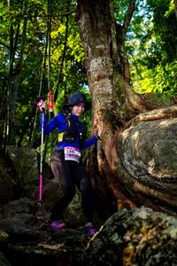 BIB: 
                            <button type="button" onclick="openModal(13535656)" class="btn btn-primary btn-sm float-right btn-popup" data-toggle="modal" data-target=".modal-high-quality">
                        <i class="fas fa-shopping-cart"></i> Add to Cart
                    </button>
                                            <button type="button" onclick="isThisMe(13535656, true)" class="btn btn-success btn-sm float-right btn-popup btn-isme hidden" data-toggle="tooltip" data-placement="bottom" title="นี่คือรูปของคุณใช่ไหม คลิกที่นี่เพื่อเอาเข้าอัลบั้ม">
                        <i class="fas fa-plus"></i> Add to album
                    </button>
                    <button type="button" onclick="isThisMe(13535656, false)" class="btn btn-warning btn-sm float-right btn-popup btn-isnotme hidden">
                        <i class="fas fa-ban"></i> Remove from album
                    </button>