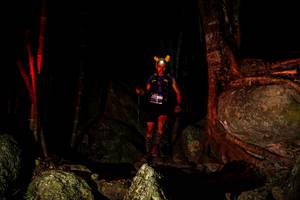 BIB: 
                            <button type="button" onclick="openModal(13532883)" class="btn btn-primary btn-sm float-right btn-popup" data-toggle="modal" data-target=".modal-high-quality">
                        <i class="fas fa-shopping-cart"></i> Add to Cart
                    </button>
                                            <button type="button" onclick="isThisMe(13532883, true)" class="btn btn-success btn-sm float-right btn-popup btn-isme hidden" data-toggle="tooltip" data-placement="bottom" title="นี่คือรูปของคุณใช่ไหม คลิกที่นี่เพื่อเอาเข้าอัลบั้ม">
                        <i class="fas fa-plus"></i> Add to album
                    </button>
                    <button type="button" onclick="isThisMe(13532883, false)" class="btn btn-warning btn-sm float-right btn-popup btn-isnotme hidden">
                        <i class="fas fa-ban"></i> Remove from album
                    </button>