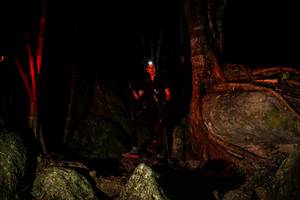 BIB: 
                            <button type="button" onclick="openModal(13531606)" class="btn btn-primary btn-sm float-right btn-popup" data-toggle="modal" data-target=".modal-high-quality">
                        <i class="fas fa-shopping-cart"></i> Add to Cart
                    </button>
                                            <button type="button" onclick="isThisMe(13531606, true)" class="btn btn-success btn-sm float-right btn-popup btn-isme hidden" data-toggle="tooltip" data-placement="bottom" title="นี่คือรูปของคุณใช่ไหม คลิกที่นี่เพื่อเอาเข้าอัลบั้ม">
                        <i class="fas fa-plus"></i> Add to album
                    </button>
                    <button type="button" onclick="isThisMe(13531606, false)" class="btn btn-warning btn-sm float-right btn-popup btn-isnotme hidden">
                        <i class="fas fa-ban"></i> Remove from album
                    </button>