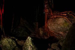 BIB: 
                            <button type="button" onclick="openModal(13530674)" class="btn btn-primary btn-sm float-right btn-popup" data-toggle="modal" data-target=".modal-high-quality">
                        <i class="fas fa-shopping-cart"></i> Add to Cart
                    </button>
                                            <button type="button" onclick="isThisMe(13530674, true)" class="btn btn-success btn-sm float-right btn-popup btn-isme hidden" data-toggle="tooltip" data-placement="bottom" title="นี่คือรูปของคุณใช่ไหม คลิกที่นี่เพื่อเอาเข้าอัลบั้ม">
                        <i class="fas fa-plus"></i> Add to album
                    </button>
                    <button type="button" onclick="isThisMe(13530674, false)" class="btn btn-warning btn-sm float-right btn-popup btn-isnotme hidden">
                        <i class="fas fa-ban"></i> Remove from album
                    </button>