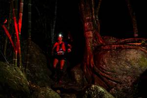 BIB: 
                            <button type="button" onclick="openModal(13541367)" class="btn btn-primary btn-sm float-right btn-popup" data-toggle="modal" data-target=".modal-high-quality">
                        <i class="fas fa-shopping-cart"></i> Add to Cart
                    </button>
                                            <button type="button" onclick="isThisMe(13541367, true)" class="btn btn-success btn-sm float-right btn-popup btn-isme hidden" data-toggle="tooltip" data-placement="bottom" title="นี่คือรูปของคุณใช่ไหม คลิกที่นี่เพื่อเอาเข้าอัลบั้ม">
                        <i class="fas fa-plus"></i> Add to album
                    </button>
                    <button type="button" onclick="isThisMe(13541367, false)" class="btn btn-warning btn-sm float-right btn-popup btn-isnotme hidden">
                        <i class="fas fa-ban"></i> Remove from album
                    </button>