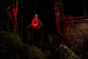 BIB: 
                            <button type="button" onclick="openModal(13541409)" class="btn btn-primary btn-sm float-right btn-popup" data-toggle="modal" data-target=".modal-high-quality">
                        <i class="fas fa-shopping-cart"></i> Add to Cart
                    </button>
                                            <button type="button" onclick="isThisMe(13541409, true)" class="btn btn-success btn-sm float-right btn-popup btn-isme hidden" data-toggle="tooltip" data-placement="bottom" title="นี่คือรูปของคุณใช่ไหม คลิกที่นี่เพื่อเอาเข้าอัลบั้ม">
                        <i class="fas fa-plus"></i> Add to album
                    </button>
                    <button type="button" onclick="isThisMe(13541409, false)" class="btn btn-warning btn-sm float-right btn-popup btn-isnotme hidden">
                        <i class="fas fa-ban"></i> Remove from album
                    </button>