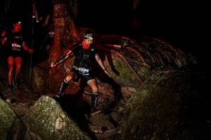 BIB: 
                            <button type="button" onclick="openModal(13533280)" class="btn btn-primary btn-sm float-right btn-popup" data-toggle="modal" data-target=".modal-high-quality">
                        <i class="fas fa-shopping-cart"></i> Add to Cart
                    </button>
                                            <button type="button" onclick="isThisMe(13533280, true)" class="btn btn-success btn-sm float-right btn-popup btn-isme hidden" data-toggle="tooltip" data-placement="bottom" title="นี่คือรูปของคุณใช่ไหม คลิกที่นี่เพื่อเอาเข้าอัลบั้ม">
                        <i class="fas fa-plus"></i> Add to album
                    </button>
                    <button type="button" onclick="isThisMe(13533280, false)" class="btn btn-warning btn-sm float-right btn-popup btn-isnotme hidden">
                        <i class="fas fa-ban"></i> Remove from album
                    </button>