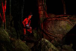 BIB: 
                            <button type="button" onclick="openModal(13541370)" class="btn btn-primary btn-sm float-right btn-popup" data-toggle="modal" data-target=".modal-high-quality">
                        <i class="fas fa-shopping-cart"></i> Add to Cart
                    </button>
                                            <button type="button" onclick="isThisMe(13541370, true)" class="btn btn-success btn-sm float-right btn-popup btn-isme hidden" data-toggle="tooltip" data-placement="bottom" title="นี่คือรูปของคุณใช่ไหม คลิกที่นี่เพื่อเอาเข้าอัลบั้ม">
                        <i class="fas fa-plus"></i> Add to album
                    </button>
                    <button type="button" onclick="isThisMe(13541370, false)" class="btn btn-warning btn-sm float-right btn-popup btn-isnotme hidden">
                        <i class="fas fa-ban"></i> Remove from album
                    </button>