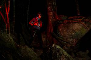 BIB: 
                            <button type="button" onclick="openModal(13541410)" class="btn btn-primary btn-sm float-right btn-popup" data-toggle="modal" data-target=".modal-high-quality">
                        <i class="fas fa-shopping-cart"></i> Add to Cart
                    </button>
                                            <button type="button" onclick="isThisMe(13541410, true)" class="btn btn-success btn-sm float-right btn-popup btn-isme hidden" data-toggle="tooltip" data-placement="bottom" title="นี่คือรูปของคุณใช่ไหม คลิกที่นี่เพื่อเอาเข้าอัลบั้ม">
                        <i class="fas fa-plus"></i> Add to album
                    </button>
                    <button type="button" onclick="isThisMe(13541410, false)" class="btn btn-warning btn-sm float-right btn-popup btn-isnotme hidden">
                        <i class="fas fa-ban"></i> Remove from album
                    </button>