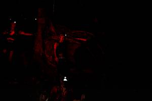 BIB: 
                            <button type="button" onclick="openModal(13533896)" class="btn btn-primary btn-sm float-right btn-popup" data-toggle="modal" data-target=".modal-high-quality">
                        <i class="fas fa-shopping-cart"></i> Add to Cart
                    </button>
                                            <button type="button" onclick="isThisMe(13533896, true)" class="btn btn-success btn-sm float-right btn-popup btn-isme hidden" data-toggle="tooltip" data-placement="bottom" title="นี่คือรูปของคุณใช่ไหม คลิกที่นี่เพื่อเอาเข้าอัลบั้ม">
                        <i class="fas fa-plus"></i> Add to album
                    </button>
                    <button type="button" onclick="isThisMe(13533896, false)" class="btn btn-warning btn-sm float-right btn-popup btn-isnotme hidden">
                        <i class="fas fa-ban"></i> Remove from album
                    </button>