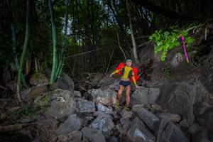 BIB: 
                            <button type="button" onclick="openModal(13680984)" class="btn btn-primary btn-sm float-right btn-popup" data-toggle="modal" data-target=".modal-high-quality">
                        <i class="fas fa-shopping-cart"></i> Add to Cart
                    </button>
                                            <button type="button" onclick="isThisMe(13680984, true)" class="btn btn-success btn-sm float-right btn-popup btn-isme hidden" data-toggle="tooltip" data-placement="bottom" title="นี่คือรูปของคุณใช่ไหม คลิกที่นี่เพื่อเอาเข้าอัลบั้ม">
                        <i class="fas fa-plus"></i> Add to album
                    </button>
                    <button type="button" onclick="isThisMe(13680984, false)" class="btn btn-warning btn-sm float-right btn-popup btn-isnotme hidden">
                        <i class="fas fa-ban"></i> Remove from album
                    </button>