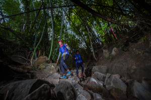 BIB: 
                            <button type="button" onclick="openModal(13695075)" class="btn btn-primary btn-sm float-right btn-popup" data-toggle="modal" data-target=".modal-high-quality">
                        <i class="fas fa-shopping-cart"></i> Add to Cart
                    </button>
                                            <button type="button" onclick="isThisMe(13695075, true)" class="btn btn-success btn-sm float-right btn-popup btn-isme hidden" data-toggle="tooltip" data-placement="bottom" title="นี่คือรูปของคุณใช่ไหม คลิกที่นี่เพื่อเอาเข้าอัลบั้ม">
                        <i class="fas fa-plus"></i> Add to album
                    </button>
                    <button type="button" onclick="isThisMe(13695075, false)" class="btn btn-warning btn-sm float-right btn-popup btn-isnotme hidden">
                        <i class="fas fa-ban"></i> Remove from album
                    </button>