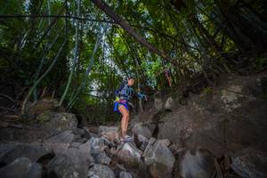 BIB: 
                            <button type="button" onclick="openModal(13694281)" class="btn btn-primary btn-sm float-right btn-popup" data-toggle="modal" data-target=".modal-high-quality">
                        <i class="fas fa-shopping-cart"></i> Add to Cart
                    </button>
                                            <button type="button" onclick="isThisMe(13694281, true)" class="btn btn-success btn-sm float-right btn-popup btn-isme hidden" data-toggle="tooltip" data-placement="bottom" title="นี่คือรูปของคุณใช่ไหม คลิกที่นี่เพื่อเอาเข้าอัลบั้ม">
                        <i class="fas fa-plus"></i> Add to album
                    </button>
                    <button type="button" onclick="isThisMe(13694281, false)" class="btn btn-warning btn-sm float-right btn-popup btn-isnotme hidden">
                        <i class="fas fa-ban"></i> Remove from album
                    </button>