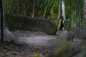 BIB: 
                            <button type="button" onclick="openModal(13659773)" class="btn btn-primary btn-sm float-right btn-popup" data-toggle="modal" data-target=".modal-high-quality">
                        <i class="fas fa-shopping-cart"></i> Add to Cart
                    </button>
                                            <button type="button" onclick="isThisMe(13659773, true)" class="btn btn-success btn-sm float-right btn-popup btn-isme hidden" data-toggle="tooltip" data-placement="bottom" title="นี่คือรูปของคุณใช่ไหม คลิกที่นี่เพื่อเอาเข้าอัลบั้ม">
                        <i class="fas fa-plus"></i> Add to album
                    </button>
                    <button type="button" onclick="isThisMe(13659773, false)" class="btn btn-warning btn-sm float-right btn-popup btn-isnotme hidden">
                        <i class="fas fa-ban"></i> Remove from album
                    </button>