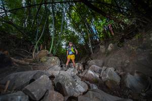 BIB: 
                            <button type="button" onclick="openModal(13694422)" class="btn btn-primary btn-sm float-right btn-popup" data-toggle="modal" data-target=".modal-high-quality">
                        <i class="fas fa-shopping-cart"></i> Add to Cart
                    </button>
                                            <button type="button" onclick="isThisMe(13694422, true)" class="btn btn-success btn-sm float-right btn-popup btn-isme hidden" data-toggle="tooltip" data-placement="bottom" title="นี่คือรูปของคุณใช่ไหม คลิกที่นี่เพื่อเอาเข้าอัลบั้ม">
                        <i class="fas fa-plus"></i> Add to album
                    </button>
                    <button type="button" onclick="isThisMe(13694422, false)" class="btn btn-warning btn-sm float-right btn-popup btn-isnotme hidden">
                        <i class="fas fa-ban"></i> Remove from album
                    </button>