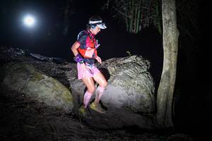 BIB: 
                            <button type="button" onclick="openModal(13641183)" class="btn btn-primary btn-sm float-right btn-popup" data-toggle="modal" data-target=".modal-high-quality">
                        <i class="fas fa-shopping-cart"></i> Add to Cart
                    </button>
                                            <button type="button" onclick="isThisMe(13641183, true)" class="btn btn-success btn-sm float-right btn-popup btn-isme hidden" data-toggle="tooltip" data-placement="bottom" title="นี่คือรูปของคุณใช่ไหม คลิกที่นี่เพื่อเอาเข้าอัลบั้ม">
                        <i class="fas fa-plus"></i> Add to album
                    </button>
                    <button type="button" onclick="isThisMe(13641183, false)" class="btn btn-warning btn-sm float-right btn-popup btn-isnotme hidden">
                        <i class="fas fa-ban"></i> Remove from album
                    </button>