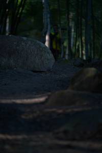 BIB: 
                            <button type="button" onclick="openModal(13659480)" class="btn btn-primary btn-sm float-right btn-popup" data-toggle="modal" data-target=".modal-high-quality">
                        <i class="fas fa-shopping-cart"></i> Add to Cart
                    </button>
                                            <button type="button" onclick="isThisMe(13659480, true)" class="btn btn-success btn-sm float-right btn-popup btn-isme hidden" data-toggle="tooltip" data-placement="bottom" title="นี่คือรูปของคุณใช่ไหม คลิกที่นี่เพื่อเอาเข้าอัลบั้ม">
                        <i class="fas fa-plus"></i> Add to album
                    </button>
                    <button type="button" onclick="isThisMe(13659480, false)" class="btn btn-warning btn-sm float-right btn-popup btn-isnotme hidden">
                        <i class="fas fa-ban"></i> Remove from album
                    </button>