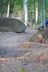 BIB: 
                            <button type="button" onclick="openModal(13659351)" class="btn btn-primary btn-sm float-right btn-popup" data-toggle="modal" data-target=".modal-high-quality">
                        <i class="fas fa-shopping-cart"></i> Add to Cart
                    </button>
                                            <button type="button" onclick="isThisMe(13659351, true)" class="btn btn-success btn-sm float-right btn-popup btn-isme hidden" data-toggle="tooltip" data-placement="bottom" title="นี่คือรูปของคุณใช่ไหม คลิกที่นี่เพื่อเอาเข้าอัลบั้ม">
                        <i class="fas fa-plus"></i> Add to album
                    </button>
                    <button type="button" onclick="isThisMe(13659351, false)" class="btn btn-warning btn-sm float-right btn-popup btn-isnotme hidden">
                        <i class="fas fa-ban"></i> Remove from album
                    </button>