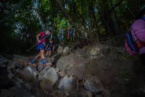 BIB: 
                            <button type="button" onclick="openModal(13699023)" class="btn btn-primary btn-sm float-right btn-popup" data-toggle="modal" data-target=".modal-high-quality">
                        <i class="fas fa-shopping-cart"></i> Add to Cart
                    </button>
                                            <button type="button" onclick="isThisMe(13699023, true)" class="btn btn-success btn-sm float-right btn-popup btn-isme hidden" data-toggle="tooltip" data-placement="bottom" title="นี่คือรูปของคุณใช่ไหม คลิกที่นี่เพื่อเอาเข้าอัลบั้ม">
                        <i class="fas fa-plus"></i> Add to album
                    </button>
                    <button type="button" onclick="isThisMe(13699023, false)" class="btn btn-warning btn-sm float-right btn-popup btn-isnotme hidden">
                        <i class="fas fa-ban"></i> Remove from album
                    </button>