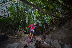 BIB: 
                            <button type="button" onclick="openModal(13694209)" class="btn btn-primary btn-sm float-right btn-popup" data-toggle="modal" data-target=".modal-high-quality">
                        <i class="fas fa-shopping-cart"></i> Add to Cart
                    </button>
                                            <button type="button" onclick="isThisMe(13694209, true)" class="btn btn-success btn-sm float-right btn-popup btn-isme hidden" data-toggle="tooltip" data-placement="bottom" title="นี่คือรูปของคุณใช่ไหม คลิกที่นี่เพื่อเอาเข้าอัลบั้ม">
                        <i class="fas fa-plus"></i> Add to album
                    </button>
                    <button type="button" onclick="isThisMe(13694209, false)" class="btn btn-warning btn-sm float-right btn-popup btn-isnotme hidden">
                        <i class="fas fa-ban"></i> Remove from album
                    </button>