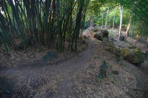 BIB: 
                            <button type="button" onclick="openModal(13659359)" class="btn btn-primary btn-sm float-right btn-popup" data-toggle="modal" data-target=".modal-high-quality">
                        <i class="fas fa-shopping-cart"></i> Add to Cart
                    </button>
                                            <button type="button" onclick="isThisMe(13659359, true)" class="btn btn-success btn-sm float-right btn-popup btn-isme hidden" data-toggle="tooltip" data-placement="bottom" title="นี่คือรูปของคุณใช่ไหม คลิกที่นี่เพื่อเอาเข้าอัลบั้ม">
                        <i class="fas fa-plus"></i> Add to album
                    </button>
                    <button type="button" onclick="isThisMe(13659359, false)" class="btn btn-warning btn-sm float-right btn-popup btn-isnotme hidden">
                        <i class="fas fa-ban"></i> Remove from album
                    </button>