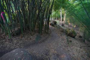 BIB: 
                            <button type="button" onclick="openModal(13659389)" class="btn btn-primary btn-sm float-right btn-popup" data-toggle="modal" data-target=".modal-high-quality">
                        <i class="fas fa-shopping-cart"></i> Add to Cart
                    </button>
                                            <button type="button" onclick="isThisMe(13659389, true)" class="btn btn-success btn-sm float-right btn-popup btn-isme hidden" data-toggle="tooltip" data-placement="bottom" title="นี่คือรูปของคุณใช่ไหม คลิกที่นี่เพื่อเอาเข้าอัลบั้ม">
                        <i class="fas fa-plus"></i> Add to album
                    </button>
                    <button type="button" onclick="isThisMe(13659389, false)" class="btn btn-warning btn-sm float-right btn-popup btn-isnotme hidden">
                        <i class="fas fa-ban"></i> Remove from album
                    </button>