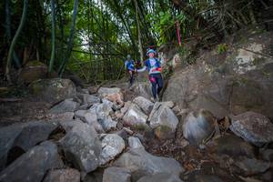 BIB: 
                            <button type="button" onclick="openModal(13692956)" class="btn btn-primary btn-sm float-right btn-popup" data-toggle="modal" data-target=".modal-high-quality">
                        <i class="fas fa-shopping-cart"></i> Add to Cart
                    </button>
                                            <button type="button" onclick="isThisMe(13692956, true)" class="btn btn-success btn-sm float-right btn-popup btn-isme hidden" data-toggle="tooltip" data-placement="bottom" title="นี่คือรูปของคุณใช่ไหม คลิกที่นี่เพื่อเอาเข้าอัลบั้ม">
                        <i class="fas fa-plus"></i> Add to album
                    </button>
                    <button type="button" onclick="isThisMe(13692956, false)" class="btn btn-warning btn-sm float-right btn-popup btn-isnotme hidden">
                        <i class="fas fa-ban"></i> Remove from album
                    </button>