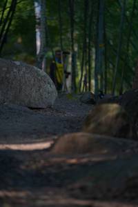 BIB: 
                            <button type="button" onclick="openModal(13659476)" class="btn btn-primary btn-sm float-right btn-popup" data-toggle="modal" data-target=".modal-high-quality">
                        <i class="fas fa-shopping-cart"></i> Add to Cart
                    </button>
                                            <button type="button" onclick="isThisMe(13659476, true)" class="btn btn-success btn-sm float-right btn-popup btn-isme hidden" data-toggle="tooltip" data-placement="bottom" title="นี่คือรูปของคุณใช่ไหม คลิกที่นี่เพื่อเอาเข้าอัลบั้ม">
                        <i class="fas fa-plus"></i> Add to album
                    </button>
                    <button type="button" onclick="isThisMe(13659476, false)" class="btn btn-warning btn-sm float-right btn-popup btn-isnotme hidden">
                        <i class="fas fa-ban"></i> Remove from album
                    </button>