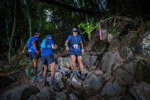 BIB: 
                            <button type="button" onclick="openModal(13681102)" class="btn btn-primary btn-sm float-right btn-popup" data-toggle="modal" data-target=".modal-high-quality">
                        <i class="fas fa-shopping-cart"></i> Add to Cart
                    </button>
                                            <button type="button" onclick="isThisMe(13681102, true)" class="btn btn-success btn-sm float-right btn-popup btn-isme hidden" data-toggle="tooltip" data-placement="bottom" title="นี่คือรูปของคุณใช่ไหม คลิกที่นี่เพื่อเอาเข้าอัลบั้ม">
                        <i class="fas fa-plus"></i> Add to album
                    </button>
                    <button type="button" onclick="isThisMe(13681102, false)" class="btn btn-warning btn-sm float-right btn-popup btn-isnotme hidden">
                        <i class="fas fa-ban"></i> Remove from album
                    </button>