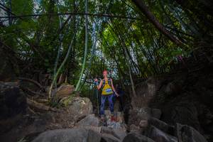 BIB: 
                            <button type="button" onclick="openModal(13698682)" class="btn btn-primary btn-sm float-right btn-popup" data-toggle="modal" data-target=".modal-high-quality">
                        <i class="fas fa-shopping-cart"></i> Add to Cart
                    </button>
                                            <button type="button" onclick="isThisMe(13698682, true)" class="btn btn-success btn-sm float-right btn-popup btn-isme hidden" data-toggle="tooltip" data-placement="bottom" title="นี่คือรูปของคุณใช่ไหม คลิกที่นี่เพื่อเอาเข้าอัลบั้ม">
                        <i class="fas fa-plus"></i> Add to album
                    </button>
                    <button type="button" onclick="isThisMe(13698682, false)" class="btn btn-warning btn-sm float-right btn-popup btn-isnotme hidden">
                        <i class="fas fa-ban"></i> Remove from album
                    </button>