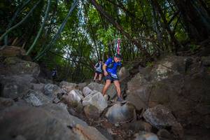 BIB: 
                            <button type="button" onclick="openModal(13698389)" class="btn btn-primary btn-sm float-right btn-popup" data-toggle="modal" data-target=".modal-high-quality">
                        <i class="fas fa-shopping-cart"></i> Add to Cart
                    </button>
                                            <button type="button" onclick="isThisMe(13698389, true)" class="btn btn-success btn-sm float-right btn-popup btn-isme hidden" data-toggle="tooltip" data-placement="bottom" title="นี่คือรูปของคุณใช่ไหม คลิกที่นี่เพื่อเอาเข้าอัลบั้ม">
                        <i class="fas fa-plus"></i> Add to album
                    </button>
                    <button type="button" onclick="isThisMe(13698389, false)" class="btn btn-warning btn-sm float-right btn-popup btn-isnotme hidden">
                        <i class="fas fa-ban"></i> Remove from album
                    </button>