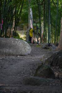 BIB: 
                            <button type="button" onclick="openModal(13659639)" class="btn btn-primary btn-sm float-right btn-popup" data-toggle="modal" data-target=".modal-high-quality">
                        <i class="fas fa-shopping-cart"></i> Add to Cart
                    </button>
                                            <button type="button" onclick="isThisMe(13659639, true)" class="btn btn-success btn-sm float-right btn-popup btn-isme hidden" data-toggle="tooltip" data-placement="bottom" title="นี่คือรูปของคุณใช่ไหม คลิกที่นี่เพื่อเอาเข้าอัลบั้ม">
                        <i class="fas fa-plus"></i> Add to album
                    </button>
                    <button type="button" onclick="isThisMe(13659639, false)" class="btn btn-warning btn-sm float-right btn-popup btn-isnotme hidden">
                        <i class="fas fa-ban"></i> Remove from album
                    </button>