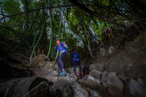 BIB: 
                            <button type="button" onclick="openModal(13695071)" class="btn btn-primary btn-sm float-right btn-popup" data-toggle="modal" data-target=".modal-high-quality">
                        <i class="fas fa-shopping-cart"></i> Add to Cart
                    </button>
                                            <button type="button" onclick="isThisMe(13695071, true)" class="btn btn-success btn-sm float-right btn-popup btn-isme hidden" data-toggle="tooltip" data-placement="bottom" title="นี่คือรูปของคุณใช่ไหม คลิกที่นี่เพื่อเอาเข้าอัลบั้ม">
                        <i class="fas fa-plus"></i> Add to album
                    </button>
                    <button type="button" onclick="isThisMe(13695071, false)" class="btn btn-warning btn-sm float-right btn-popup btn-isnotme hidden">
                        <i class="fas fa-ban"></i> Remove from album
                    </button>