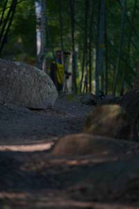 BIB: 
                            <button type="button" onclick="openModal(13659479)" class="btn btn-primary btn-sm float-right btn-popup" data-toggle="modal" data-target=".modal-high-quality">
                        <i class="fas fa-shopping-cart"></i> Add to Cart
                    </button>
                                            <button type="button" onclick="isThisMe(13659479, true)" class="btn btn-success btn-sm float-right btn-popup btn-isme hidden" data-toggle="tooltip" data-placement="bottom" title="นี่คือรูปของคุณใช่ไหม คลิกที่นี่เพื่อเอาเข้าอัลบั้ม">
                        <i class="fas fa-plus"></i> Add to album
                    </button>
                    <button type="button" onclick="isThisMe(13659479, false)" class="btn btn-warning btn-sm float-right btn-popup btn-isnotme hidden">
                        <i class="fas fa-ban"></i> Remove from album
                    </button>