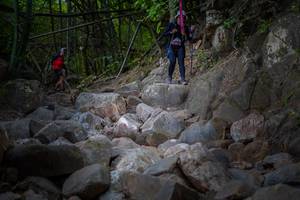 BIB: 
                            <button type="button" onclick="openModal(13692778)" class="btn btn-primary btn-sm float-right btn-popup" data-toggle="modal" data-target=".modal-high-quality">
                        <i class="fas fa-shopping-cart"></i> Add to Cart
                    </button>
                                            <button type="button" onclick="isThisMe(13692778, true)" class="btn btn-success btn-sm float-right btn-popup btn-isme hidden" data-toggle="tooltip" data-placement="bottom" title="นี่คือรูปของคุณใช่ไหม คลิกที่นี่เพื่อเอาเข้าอัลบั้ม">
                        <i class="fas fa-plus"></i> Add to album
                    </button>
                    <button type="button" onclick="isThisMe(13692778, false)" class="btn btn-warning btn-sm float-right btn-popup btn-isnotme hidden">
                        <i class="fas fa-ban"></i> Remove from album
                    </button>