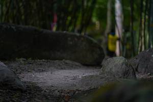 BIB: 
                            <button type="button" onclick="openModal(13659859)" class="btn btn-primary btn-sm float-right btn-popup" data-toggle="modal" data-target=".modal-high-quality">
                        <i class="fas fa-shopping-cart"></i> Add to Cart
                    </button>
                                            <button type="button" onclick="isThisMe(13659859, true)" class="btn btn-success btn-sm float-right btn-popup btn-isme hidden" data-toggle="tooltip" data-placement="bottom" title="นี่คือรูปของคุณใช่ไหม คลิกที่นี่เพื่อเอาเข้าอัลบั้ม">
                        <i class="fas fa-plus"></i> Add to album
                    </button>
                    <button type="button" onclick="isThisMe(13659859, false)" class="btn btn-warning btn-sm float-right btn-popup btn-isnotme hidden">
                        <i class="fas fa-ban"></i> Remove from album
                    </button>