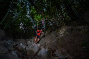 BIB: 
                            <button type="button" onclick="openModal(13695042)" class="btn btn-primary btn-sm float-right btn-popup" data-toggle="modal" data-target=".modal-high-quality">
                        <i class="fas fa-shopping-cart"></i> Add to Cart
                    </button>
                                            <button type="button" onclick="isThisMe(13695042, true)" class="btn btn-success btn-sm float-right btn-popup btn-isme hidden" data-toggle="tooltip" data-placement="bottom" title="นี่คือรูปของคุณใช่ไหม คลิกที่นี่เพื่อเอาเข้าอัลบั้ม">
                        <i class="fas fa-plus"></i> Add to album
                    </button>
                    <button type="button" onclick="isThisMe(13695042, false)" class="btn btn-warning btn-sm float-right btn-popup btn-isnotme hidden">
                        <i class="fas fa-ban"></i> Remove from album
                    </button>