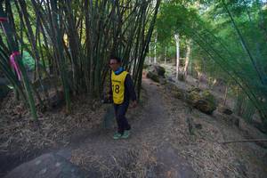 BIB: 
                            <button type="button" onclick="openModal(13659381)" class="btn btn-primary btn-sm float-right btn-popup" data-toggle="modal" data-target=".modal-high-quality">
                        <i class="fas fa-shopping-cart"></i> Add to Cart
                    </button>
                                            <button type="button" onclick="isThisMe(13659381, true)" class="btn btn-success btn-sm float-right btn-popup btn-isme hidden" data-toggle="tooltip" data-placement="bottom" title="นี่คือรูปของคุณใช่ไหม คลิกที่นี่เพื่อเอาเข้าอัลบั้ม">
                        <i class="fas fa-plus"></i> Add to album
                    </button>
                    <button type="button" onclick="isThisMe(13659381, false)" class="btn btn-warning btn-sm float-right btn-popup btn-isnotme hidden">
                        <i class="fas fa-ban"></i> Remove from album
                    </button>