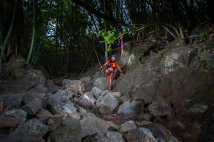 BIB: 
                            <button type="button" onclick="openModal(13682341)" class="btn btn-primary btn-sm float-right btn-popup" data-toggle="modal" data-target=".modal-high-quality">
                        <i class="fas fa-shopping-cart"></i> Add to Cart
                    </button>
                                            <button type="button" onclick="isThisMe(13682341, true)" class="btn btn-success btn-sm float-right btn-popup btn-isme hidden" data-toggle="tooltip" data-placement="bottom" title="นี่คือรูปของคุณใช่ไหม คลิกที่นี่เพื่อเอาเข้าอัลบั้ม">
                        <i class="fas fa-plus"></i> Add to album
                    </button>
                    <button type="button" onclick="isThisMe(13682341, false)" class="btn btn-warning btn-sm float-right btn-popup btn-isnotme hidden">
                        <i class="fas fa-ban"></i> Remove from album
                    </button>