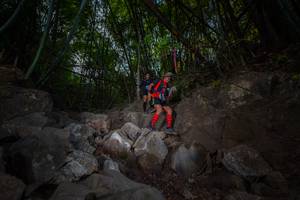 BIB: 
                            <button type="button" onclick="openModal(13695114)" class="btn btn-primary btn-sm float-right btn-popup" data-toggle="modal" data-target=".modal-high-quality">
                        <i class="fas fa-shopping-cart"></i> Add to Cart
                    </button>
                                            <button type="button" onclick="isThisMe(13695114, true)" class="btn btn-success btn-sm float-right btn-popup btn-isme hidden" data-toggle="tooltip" data-placement="bottom" title="นี่คือรูปของคุณใช่ไหม คลิกที่นี่เพื่อเอาเข้าอัลบั้ม">
                        <i class="fas fa-plus"></i> Add to album
                    </button>
                    <button type="button" onclick="isThisMe(13695114, false)" class="btn btn-warning btn-sm float-right btn-popup btn-isnotme hidden">
                        <i class="fas fa-ban"></i> Remove from album
                    </button>