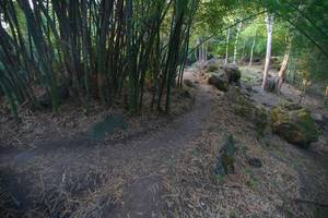 BIB: 
                            <button type="button" onclick="openModal(13659363)" class="btn btn-primary btn-sm float-right btn-popup" data-toggle="modal" data-target=".modal-high-quality">
                        <i class="fas fa-shopping-cart"></i> Add to Cart
                    </button>
                                            <button type="button" onclick="isThisMe(13659363, true)" class="btn btn-success btn-sm float-right btn-popup btn-isme hidden" data-toggle="tooltip" data-placement="bottom" title="นี่คือรูปของคุณใช่ไหม คลิกที่นี่เพื่อเอาเข้าอัลบั้ม">
                        <i class="fas fa-plus"></i> Add to album
                    </button>
                    <button type="button" onclick="isThisMe(13659363, false)" class="btn btn-warning btn-sm float-right btn-popup btn-isnotme hidden">
                        <i class="fas fa-ban"></i> Remove from album
                    </button>