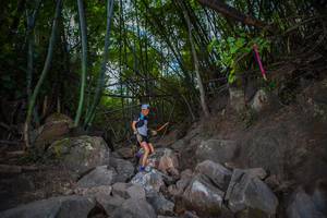 BIB: 
                            <button type="button" onclick="openModal(13697446)" class="btn btn-primary btn-sm float-right btn-popup" data-toggle="modal" data-target=".modal-high-quality">
                        <i class="fas fa-shopping-cart"></i> Add to Cart
                    </button>
                                            <button type="button" onclick="isThisMe(13697446, true)" class="btn btn-success btn-sm float-right btn-popup btn-isme hidden" data-toggle="tooltip" data-placement="bottom" title="นี่คือรูปของคุณใช่ไหม คลิกที่นี่เพื่อเอาเข้าอัลบั้ม">
                        <i class="fas fa-plus"></i> Add to album
                    </button>
                    <button type="button" onclick="isThisMe(13697446, false)" class="btn btn-warning btn-sm float-right btn-popup btn-isnotme hidden">
                        <i class="fas fa-ban"></i> Remove from album
                    </button>