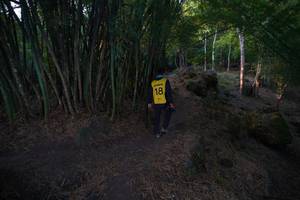 BIB: 
                            <button type="button" onclick="openModal(13659418)" class="btn btn-primary btn-sm float-right btn-popup" data-toggle="modal" data-target=".modal-high-quality">
                        <i class="fas fa-shopping-cart"></i> Add to Cart
                    </button>
                                            <button type="button" onclick="isThisMe(13659418, true)" class="btn btn-success btn-sm float-right btn-popup btn-isme hidden" data-toggle="tooltip" data-placement="bottom" title="นี่คือรูปของคุณใช่ไหม คลิกที่นี่เพื่อเอาเข้าอัลบั้ม">
                        <i class="fas fa-plus"></i> Add to album
                    </button>
                    <button type="button" onclick="isThisMe(13659418, false)" class="btn btn-warning btn-sm float-right btn-popup btn-isnotme hidden">
                        <i class="fas fa-ban"></i> Remove from album
                    </button>