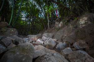 BIB: 
                            <button type="button" onclick="openModal(13697315)" class="btn btn-primary btn-sm float-right btn-popup" data-toggle="modal" data-target=".modal-high-quality">
                        <i class="fas fa-shopping-cart"></i> Add to Cart
                    </button>
                                            <button type="button" onclick="isThisMe(13697315, true)" class="btn btn-success btn-sm float-right btn-popup btn-isme hidden" data-toggle="tooltip" data-placement="bottom" title="นี่คือรูปของคุณใช่ไหม คลิกที่นี่เพื่อเอาเข้าอัลบั้ม">
                        <i class="fas fa-plus"></i> Add to album
                    </button>
                    <button type="button" onclick="isThisMe(13697315, false)" class="btn btn-warning btn-sm float-right btn-popup btn-isnotme hidden">
                        <i class="fas fa-ban"></i> Remove from album
                    </button>