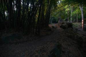 BIB: 
                            <button type="button" onclick="openModal(13659398)" class="btn btn-primary btn-sm float-right btn-popup" data-toggle="modal" data-target=".modal-high-quality">
                        <i class="fas fa-shopping-cart"></i> Add to Cart
                    </button>
                                            <button type="button" onclick="isThisMe(13659398, true)" class="btn btn-success btn-sm float-right btn-popup btn-isme hidden" data-toggle="tooltip" data-placement="bottom" title="นี่คือรูปของคุณใช่ไหม คลิกที่นี่เพื่อเอาเข้าอัลบั้ม">
                        <i class="fas fa-plus"></i> Add to album
                    </button>
                    <button type="button" onclick="isThisMe(13659398, false)" class="btn btn-warning btn-sm float-right btn-popup btn-isnotme hidden">
                        <i class="fas fa-ban"></i> Remove from album
                    </button>