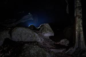 BIB: 
                            <button type="button" onclick="openModal(13680382)" class="btn btn-primary btn-sm float-right btn-popup" data-toggle="modal" data-target=".modal-high-quality">
                        <i class="fas fa-shopping-cart"></i> Add to Cart
                    </button>
                                            <button type="button" onclick="isThisMe(13680382, true)" class="btn btn-success btn-sm float-right btn-popup btn-isme hidden" data-toggle="tooltip" data-placement="bottom" title="นี่คือรูปของคุณใช่ไหม คลิกที่นี่เพื่อเอาเข้าอัลบั้ม">
                        <i class="fas fa-plus"></i> Add to album
                    </button>
                    <button type="button" onclick="isThisMe(13680382, false)" class="btn btn-warning btn-sm float-right btn-popup btn-isnotme hidden">
                        <i class="fas fa-ban"></i> Remove from album
                    </button>