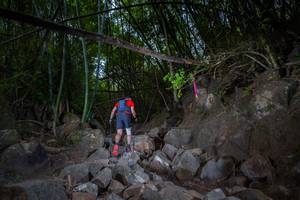 BIB: 
                            <button type="button" onclick="openModal(13681492)" class="btn btn-primary btn-sm float-right btn-popup" data-toggle="modal" data-target=".modal-high-quality">
                        <i class="fas fa-shopping-cart"></i> Add to Cart
                    </button>
                                            <button type="button" onclick="isThisMe(13681492, true)" class="btn btn-success btn-sm float-right btn-popup btn-isme hidden" data-toggle="tooltip" data-placement="bottom" title="นี่คือรูปของคุณใช่ไหม คลิกที่นี่เพื่อเอาเข้าอัลบั้ม">
                        <i class="fas fa-plus"></i> Add to album
                    </button>
                    <button type="button" onclick="isThisMe(13681492, false)" class="btn btn-warning btn-sm float-right btn-popup btn-isnotme hidden">
                        <i class="fas fa-ban"></i> Remove from album
                    </button>